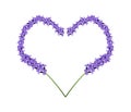 Purple Lavender Flowers in Heart Shape Frame