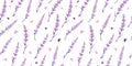 Purple lavender flowers repeat pattern design. Royalty Free Stock Photo