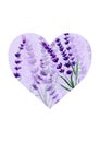 Purple Lavender Heart. Valentine's Day Concept. Watercolor Illustration