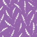 Purple lavender vector seamless repeat pattern. Royalty Free Stock Photo