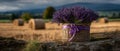 Purple Lavender in Wicker Basket on Hay Bale Field Royalty Free Stock Photo