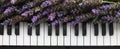 Purple Lavenders on the top of piano.