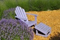 Purple lawn chair in lavender field Royalty Free Stock Photo