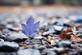 a purple leaf sits on top of a pile of rocks
