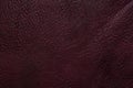 purple leather texture Royalty Free Stock Photo