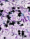 Purple leave tree texture pattern background