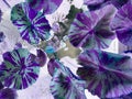 Purple leave tree texture pattern background
