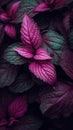 Purple Leaves on Black Background: Dark Emerald and Pink Snapshot Aesthetic AI Generated