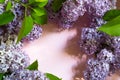 Purple lilac branches with shadows and highlights on pink spring background. Frame with copyspace with delicate fragrant flowers Royalty Free Stock Photo