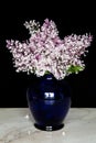 Purple lilac flower bouquet in glass vase against black background. Mothers Day or Valentines Concept.Also used for Funeral