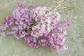 Purple lilac flower bouquet on marble table Royalty Free Stock Photo