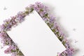 Purple lilac flower frame and empty sheet of paper template on white background with copy space for text. Top view minimal Royalty Free Stock Photo