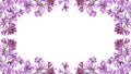 Purple lilac flower frame Royalty Free Stock Photo