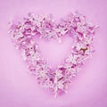 Purple lilac flower heart