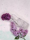 Lilac flowers in a crystal vase Royalty Free Stock Photo
