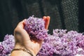 Purple-lilac flowers in the hands. A lilac flower in the hands of a woman. little purple-lilac flowers on your palm. Royalty Free Stock Photo