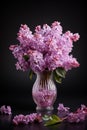 Purple Lilac isolated on black background Royalty Free Stock Photo
