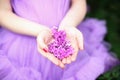 Purple lilac on the palm of a man, soft focus. Summer fragrant lilac flowers. Purple flowers on the palm of the girl. Lilac in fe