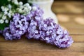 Purple lilac wooden fresh Royalty Free Stock Photo