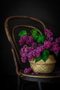 Purple lilacs in a basket on the old chair