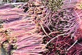 Purple long bean market