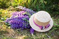 Purple lupine flowers covered with straw hat in field. Hat  near a bouquet of lupine flowers on morning grass. Concept summer picn Royalty Free Stock Photo