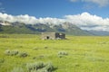 Purple lupine surrounding deserted cabin with mountains in Centennial Valley, near Lakeview, MT Royalty Free Stock Photo