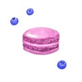 Purple macaron and bluberries. Hand drawn watercolor illustration. Isolated on white background.