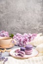 Purple macarons or macaroons cakes with cup of coffee on a gray wooden background. Side view, copy space Royalty Free Stock Photo