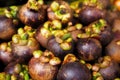 Purple mangosteen