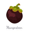 Purple Mangosteen Exotic Juicy Fruit Icon Vector