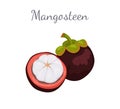 Purple Mangosteen Exotic Juicy Fruit Icon Vector