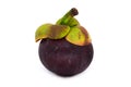 Purple Mangosteen Fruit