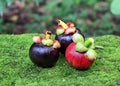 Purple Mangosteen Fruits