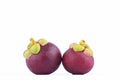 Purple mangosteen queen of fruits Garcinia mangostana Linn on white background healthy mangosteen fruit food isolated Royalty Free Stock Photo