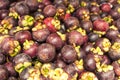 Purple mangosteen. Thai Fruits