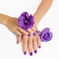 Purple manicure and violet flowers