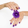 Purple manicure and violet rose