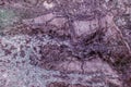 Purple Marble Granite Stone slab surface Royalty Free Stock Photo