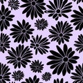 Purple Margaret Flower Floral Textile Repeat Pattern Background