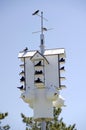 Purple Martin House Royalty Free Stock Photo