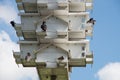 Purple martin house