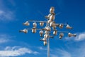 Purple martin Progne subis nests made by environmentalist in the Hill Country, Texas to help preserve the rare swallow species