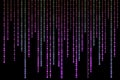 Purple matrix background of binary numbers. Matrix of computer data. Vertical digital binary code moves down