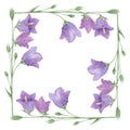 Purple meadow flowers of bluebell wreath, watercolor hand drawn botanical sum
