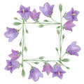 Purple meadow flowers of bluebell wreath, watercolor hand drawn botanical sum