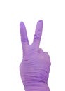 Purple medical gloves isolated on white background.medical equipment Royalty Free Stock Photo