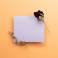 Purple memo pad with dry flower on orange background Royalty Free Stock Photo