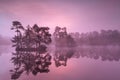 Purple misty sunrise over wild lake in forest