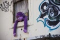 Purple monkey hanging out of a window Royalty Free Stock Photo